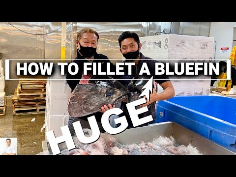 How To Fillet A Huge Bluefin Tuna | West Coast's Fastest Growing Premier Fish Supplier