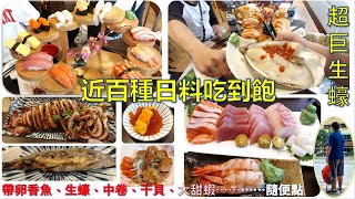 百種日料吃到飽-村 日式料理/驚人的大生蠔/隨便點的帶卵香魚、生蠔、中卷、干貝、大甜蝦...