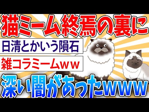 【悲報】猫ミーム、終わった理由が闇深い【2ch面白いスレ】