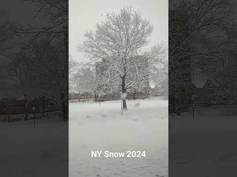 NY Snow 2024