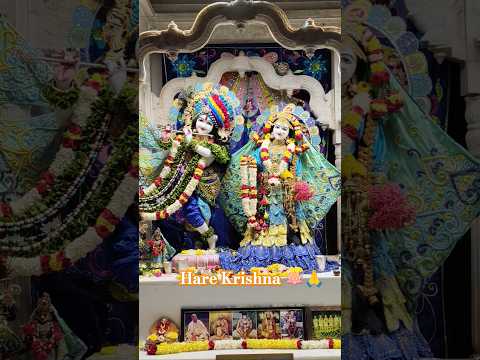 Radhakrishna Chandra and Jagannath Baldeva Subhadra #iskcon #srilaprabhupada #guntur