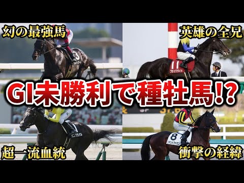 【競馬】GI未勝利なのに種牡馬入りできた奇跡の名馬10選【ゆっくり解説】