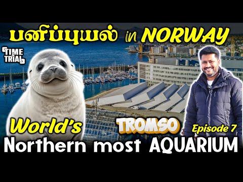 பனி புயல் in Tromso [Ep. 7] | VISITING THE NORTH MOST AQUARIUM IN THE WORLD | NORWAY TRAVEL VLOG