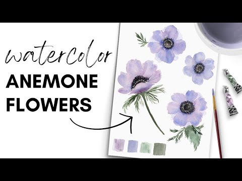 How to Paint Watercolor Anemone Flowers | Easy Tutorial