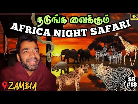 🇿🇲 Budget African Wildlife Safari தமிழில் | Zambia ep6