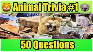 ANIMAL TRIVIA QUIZ #1 | Pub Quiz | 50 Animal Knowledge Trivia Questions and Answers