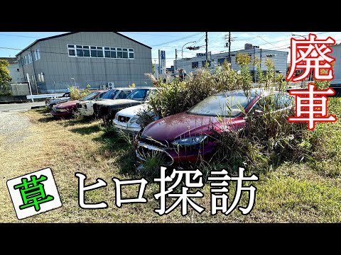 廃車置き場を探訪してきました