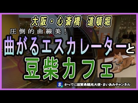 心斎橋ビッグステップのスパイラルエスカレーターと豆柴カフェ・大阪店