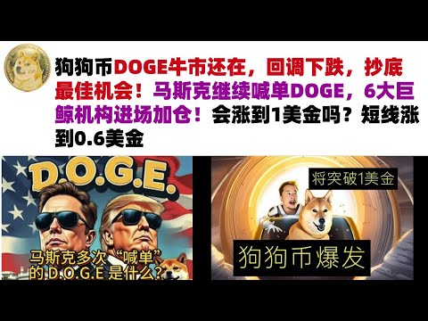 狗狗币DOGE牛市还在，回调下跌，抄底最佳机会！马斯克继续喊单DOGE，6大巨鲸机构进场加仓！会涨到1美金吗？短线涨到0.6美金#DOGE币#马斯克狗狗币#DOGE行情分析