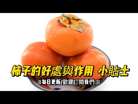 EP 117 柿子好處和作用 健康 素食 養生 天然 食療 原形食物