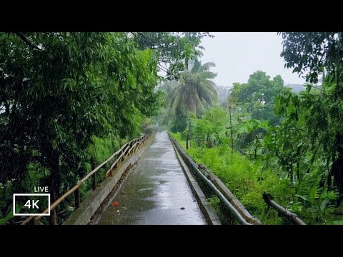 Walking in Rain Through the Aqueduct Bridge | Soft Rain Sounds for Sleep | ASMR Nature Sounds