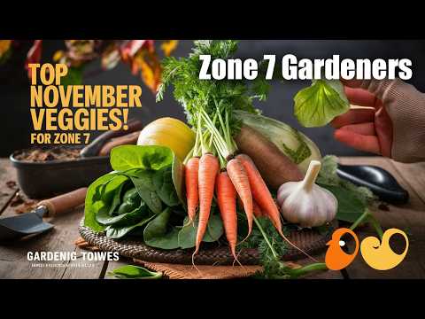 November's BEST Vegetables to Plant for Zone 7 Gardeners!