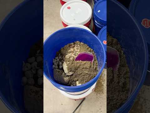 How Much Can Fit into a FIVE GALLON Crystal Mining Bucket?