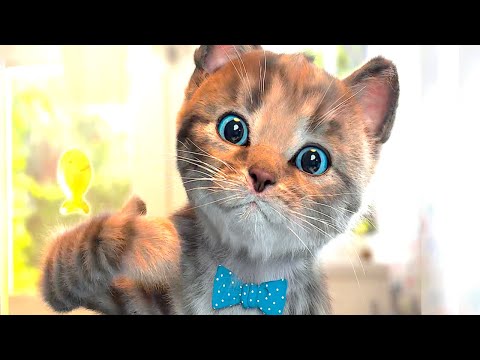 FUNNIEST CATS LITTLE KITTEN ADVENTURE - PLAY CAT CARE GAMES FOR BABY TODDLERS AND CHILDREN LEARN APP