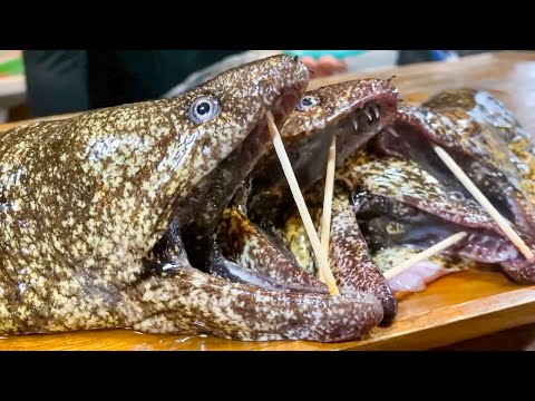 Close contact with Japan's number one master of giant live moray eel judgment!