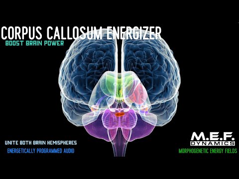 Corpus Callosum Function Amplifier