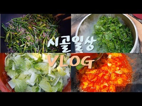 귀농 귀촌 브이로그 시골일상 : 마늘쫑, 다래순 묵나물, 배추김치(ft.닭볶음탕) VLOG,  Braised Spicy Chicken