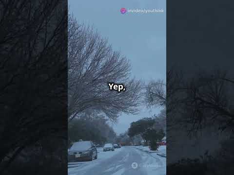 First Snow in DFW Suburbs! ❄️