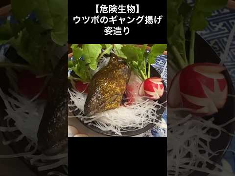 【危険生物】ウツボのギャング揚げと姿造り！#shorts