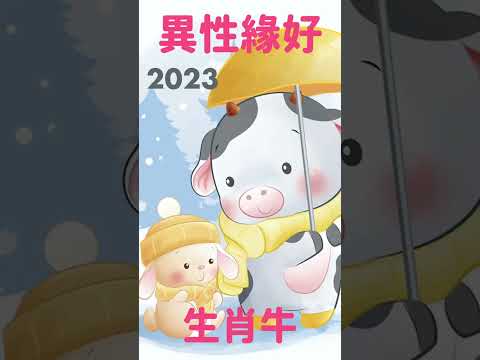 生肖牛2023兔年 為何走偏財運? 屬牛的水兔年運程  #shorts