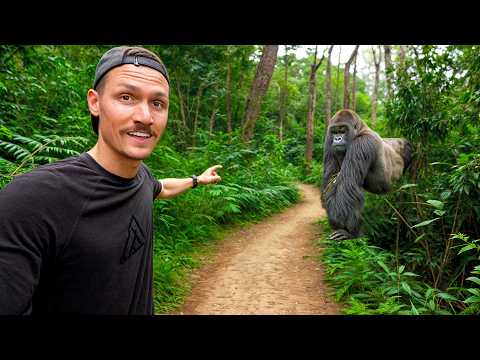 5 Hours with Wild Mountain Gorillas (World's Best Wildlife Encounter?)