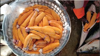 Mullet Cutting Skills-Mullet Roe Making ,Grilled Mullet Roe /烏魚切割技巧-烏魚子製作,烏魚子一口酥-Taiwan Street Food