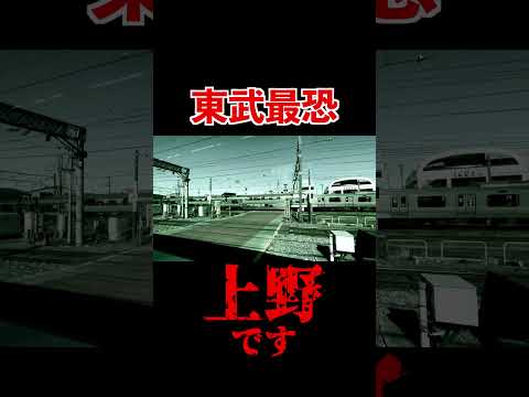 【2段階絶望】東武のあまりにも恐ろしすぎる自動放送