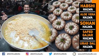 INSANE Old DELHI WINTER Delicacies I HALWA - Habshi, Sohan, Safed Gajar, Urad Dal, Aloe Vera, Gond