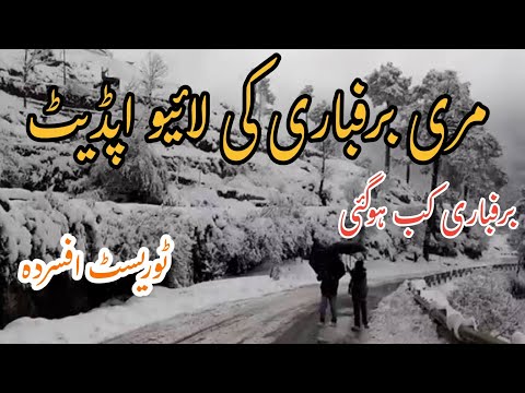 Murree live today | Murree weather update | Murree snowfall 2024 | Murree mall road | Grip on travel