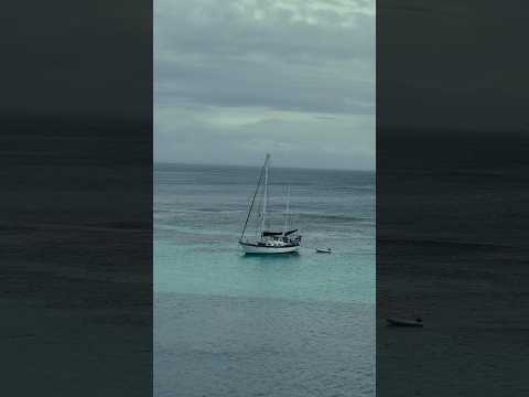 Rottnest Island #sea #island #travel #nature #australia #perth #landscape #scenicsplendors #hiking