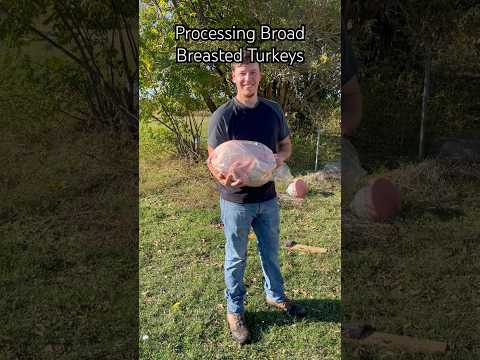 Processing Broad Breasted Turkeys For My Sister. | Whole Turkey and Pieced Turkey