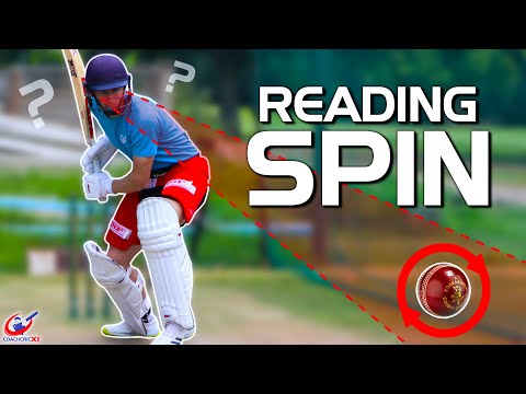 LEARN to PICK/READ SPIN bowling TODAY!!! | Full Batting Guide