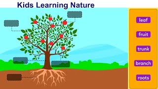 Kids Learning Nature | Kids Learning video|Video For Kids Kindergarten