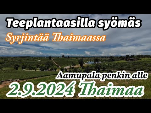 Aamupala Rage - Loistava Teefarmi - Valkoinen Temppeli Jossa Syrjitään Valkoihoisia 2.9.2024 Thaimaa