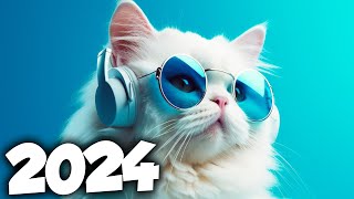 MÚSICA ELETRÔNICA 2024 🔥 AS MÚSICAS ELETRÔNICAS MAIS TOCADAS 🔥 Alok, Vintage Culture & David Guetta