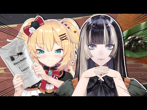 【#らでちゃま】虫食いVtuberの引退、そして今後・・・【ホロライブ/赤井はあと】