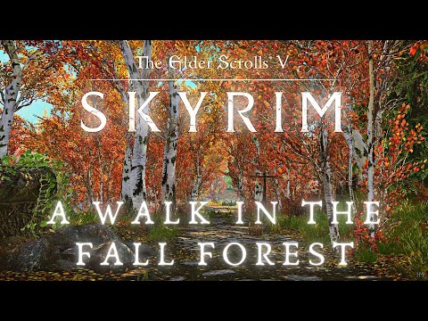 A Walk In The Fall Forest - Walking Across All of Skyrim p.11 | Skyrim 4K Music & Ambience