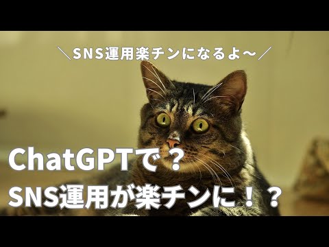 ChatGPTを使いたい人のためのプロンプト作成無料体験勉強会開催します