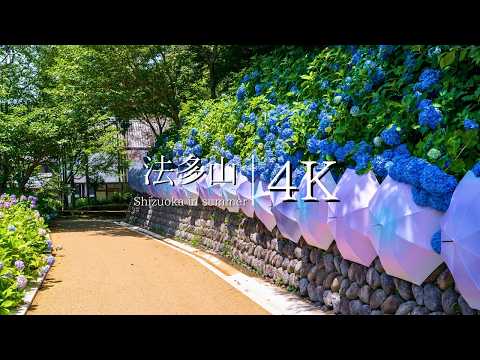 [Shizuoka's best power spot] Early summer at Mt. Houta Son'eiji Temple - JAPAN in 4K