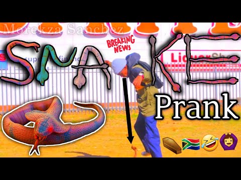 Snake Prank in South Africa