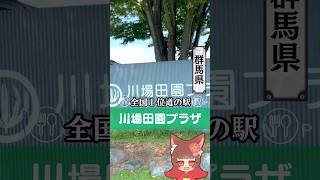 【群馬観光】一日中遊べる！全国1位の道の駅「川場田園プラザ」で食べ歩き♪　#群馬　#道の駅　#川場村　#食べ歩き　#short