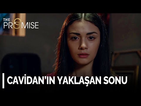 Reyhan, delil toplamaya devam ediyor | Yemin 122. Bölüm