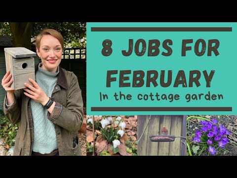 EIGHT JOBS FOR FEBRUARY IN THE COTTAGE GARDEN AND ALLOTMENT 2024