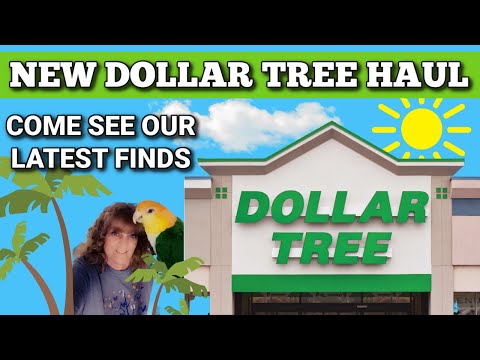 Must-see Dollar Tree Finds: 5/28/24 Haul!