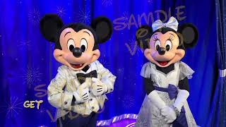 Disney World Trip Reveal Video - Mickey and Minnie Mouse (custom)