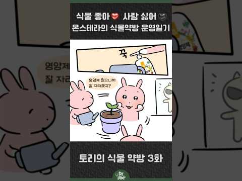 식물좋아💚사람싫어💔토리의 식물약방 #shorts