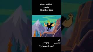 When an Idiot meets his or her Echo (from 'Johnny Bravo') #short #doujinromance