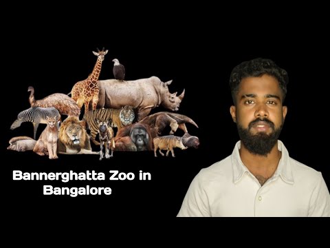 Bannerghatta Zoo in Bangalore Tamil/with bike/