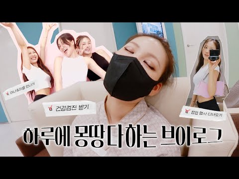 VLOG 찐 일상 브이로그는 처음인데요 (건강검진 / 팝업 행사 / 이나&미셸 만남) | 이사배(RISABAE)