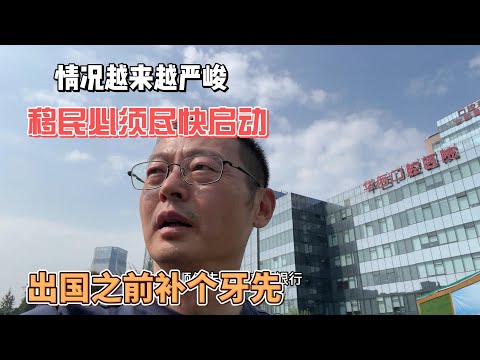 情况越来越严峻 移民必须尽快行动 出国之前补个牙先 以后都是体力活